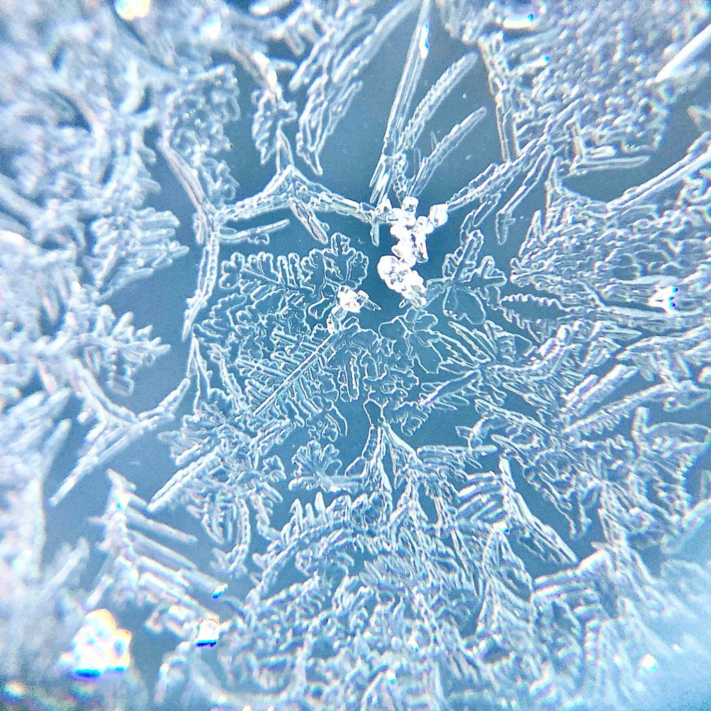フロントガラスの霜